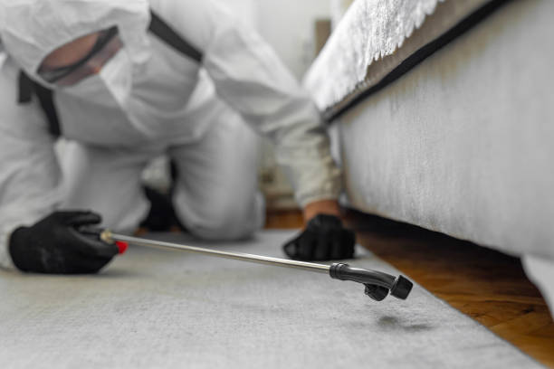 Professional Bed Bug Control technician working in Pelican Marsh, FL